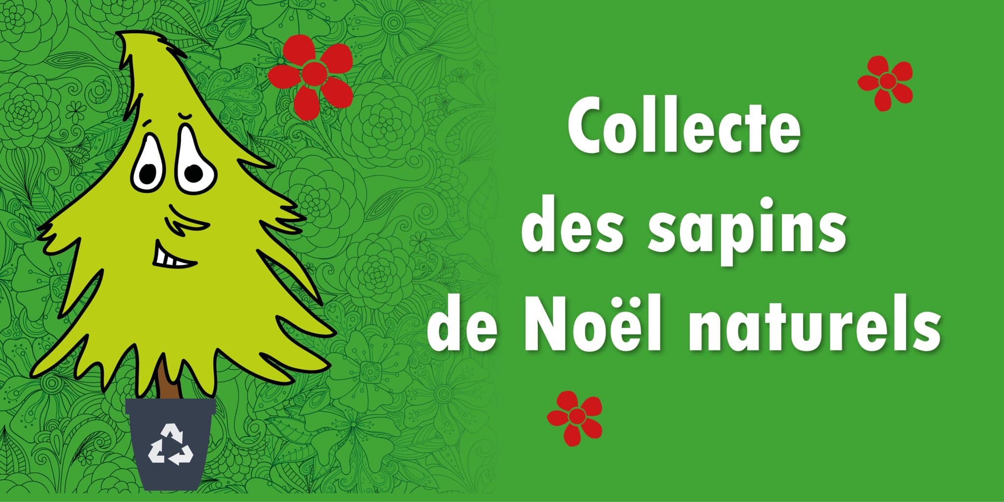 Collecte des sapins de Noël